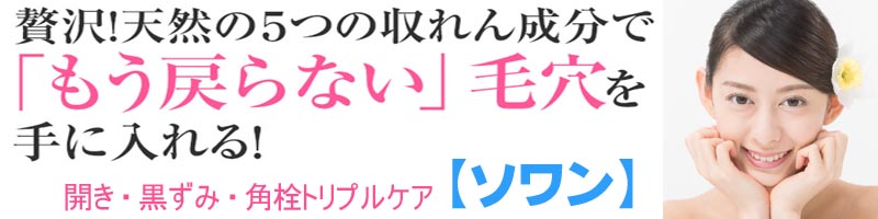 �\�������T�C�g